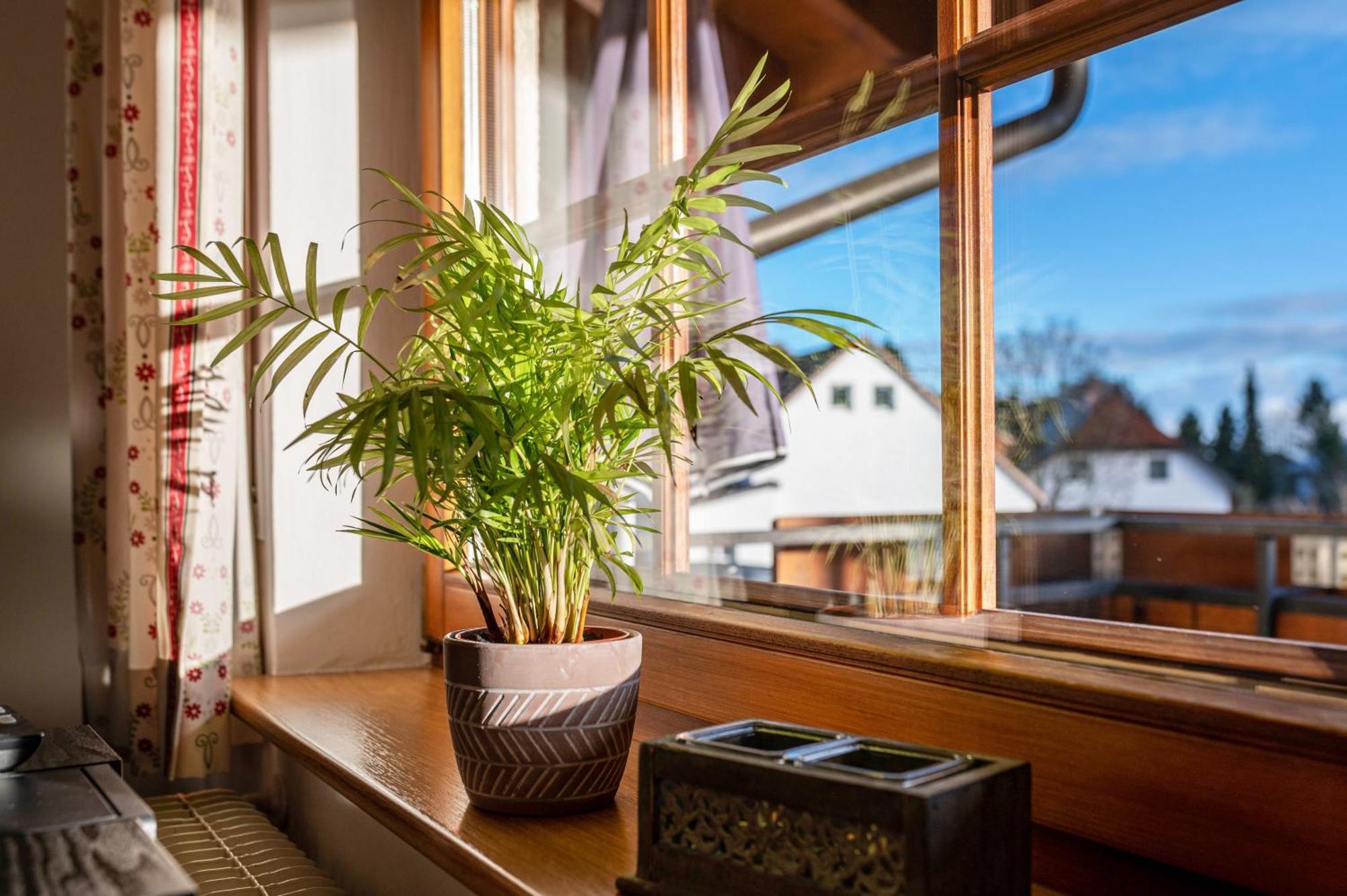 Haus Morgensonne Apartment Hoechenschwand Luaran gambar